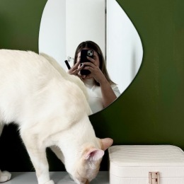 a woman taking a selfie with a cat on a dresser